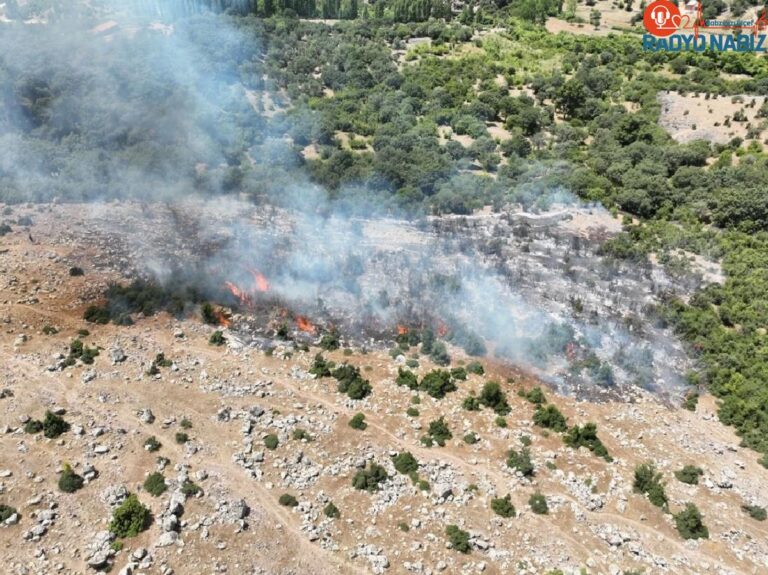 Çanakkale’de makilik alanda çıkan yangın söndürüldü