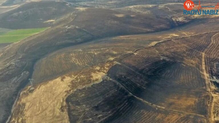 Diyarbakır ve Mardin’de 5 kişinin öldüğü yangının boyutu gün ağarınca ortaya çıktı