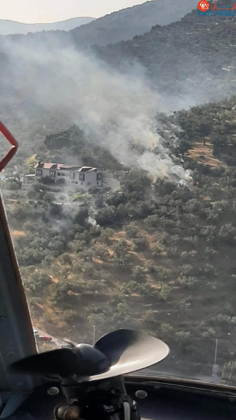 Edremit’te çıkan yangın ormanlık alana sıçramadan söndürüldü