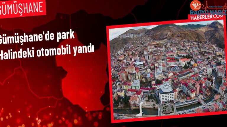 Gümüşhane’de park halindeki araba yandı