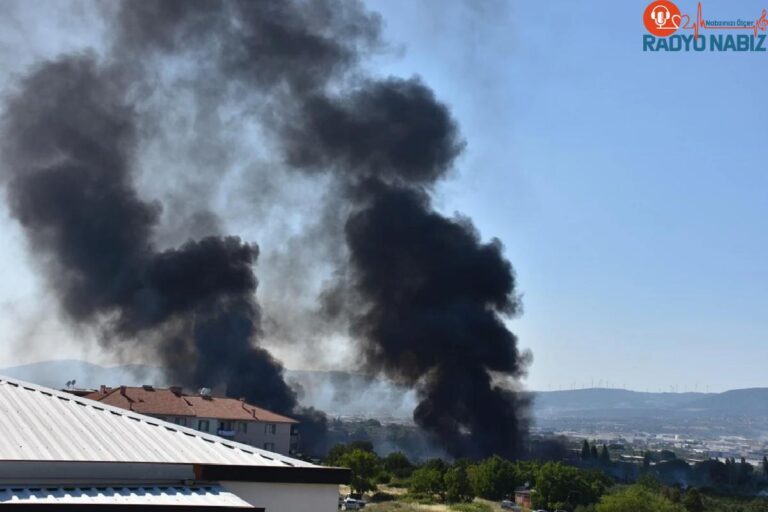 İzmir Kemalpaşa’da palet atölyesinde çıkan yangın denetim altına alındı