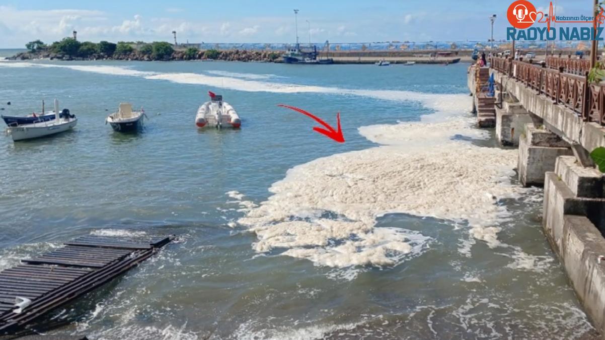 Karadeniz müsilaj istilasında! Mavi bayraklı plajda tatilcileri yıkan görüntü