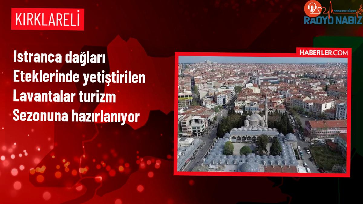 Kırklareli’nde Lavanta Tarlaları Turistler İçin Hazırlanıyor