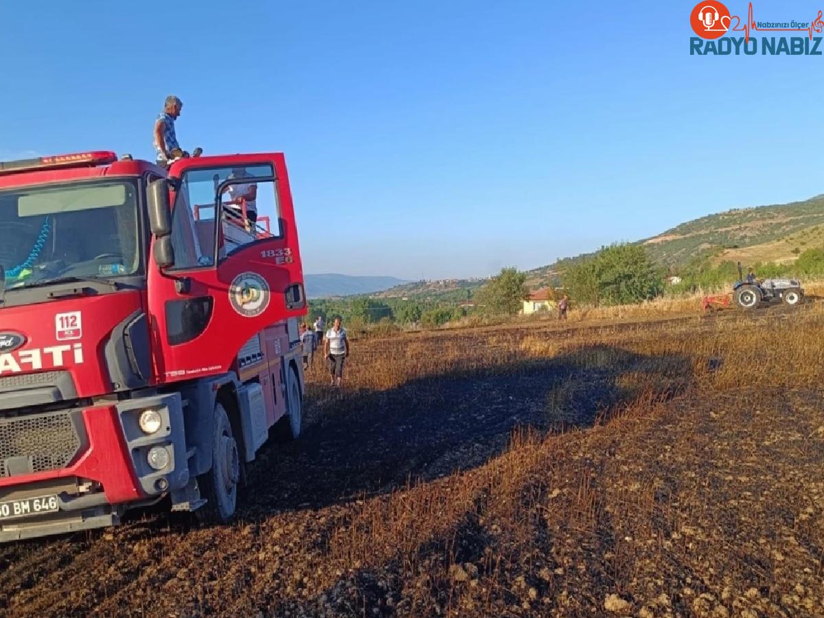 Tokat’ın Pazar ilçesinde çıkan yangında 6 dönüm ekili arazi ziyan gördü