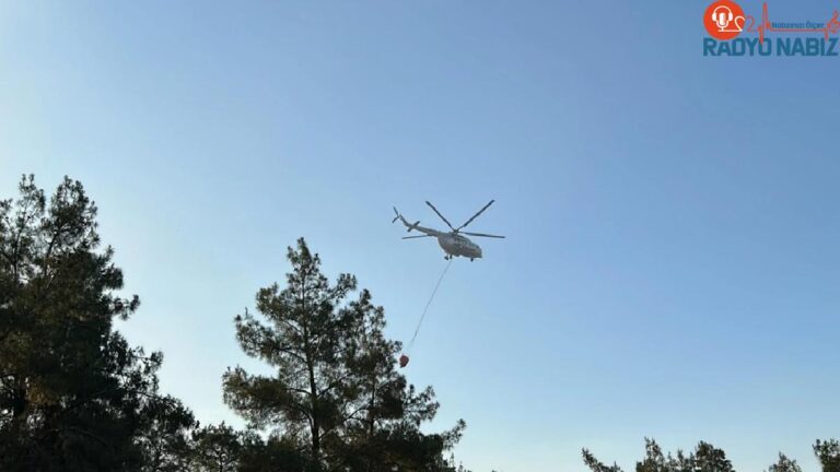 Uşak’ta Tarım Yerleri ve Ormanlık Alanda Yangın