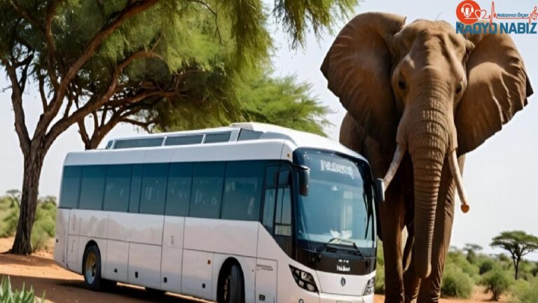 BYD’ye bir sipariş daha! Afrika’ya 120 elektrikli otobüs