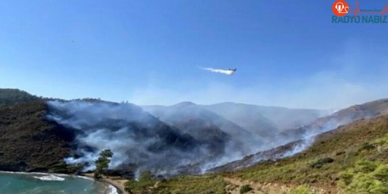 Muğla’da çıkan orman yangınıyla ilgili gözaltılar yapıldı