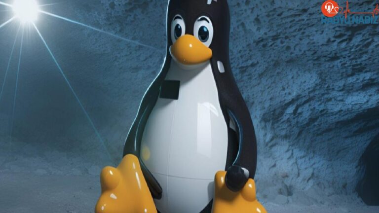 Linux açılmıyor! Windows güncelleme hatası yaptı