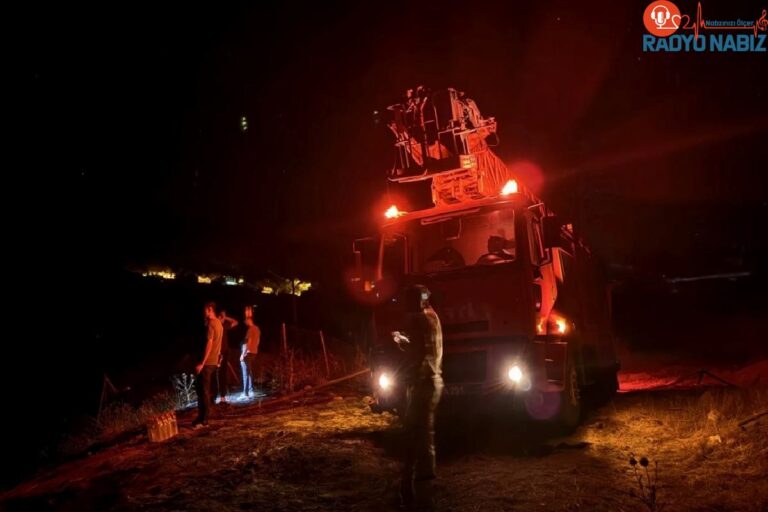 Tunceli’de Ormanlık Alanda Çıkan Yangın Denetim Altına Alındı