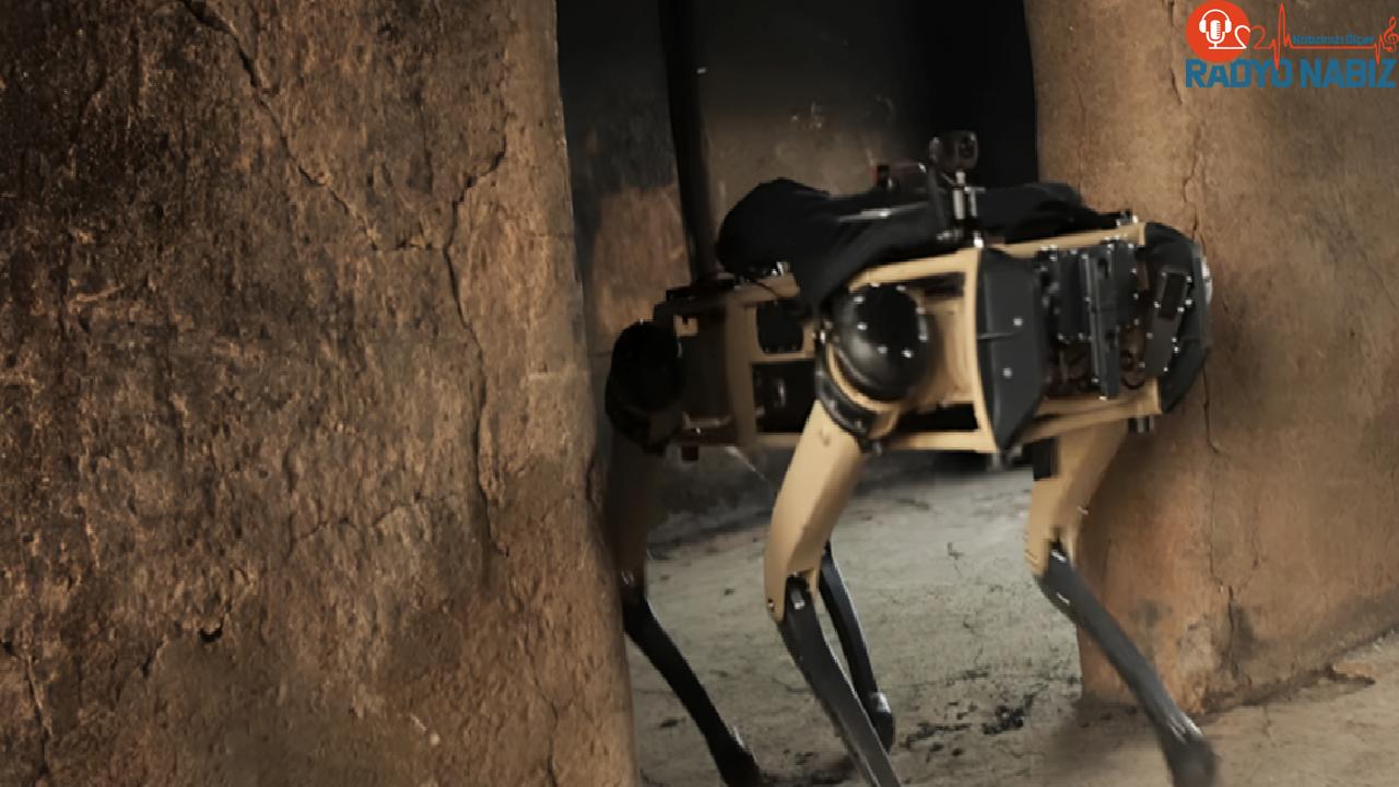 Yeni nesil güvenlik: Polis baskınlarında kullanılan robot köpekler